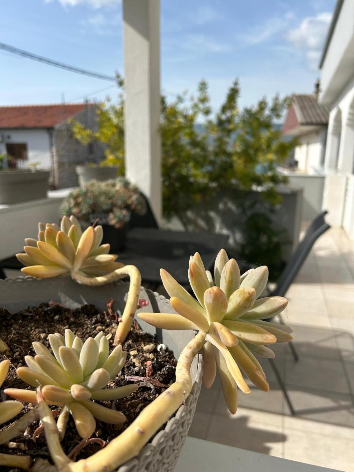 טרוגיר Apartmani Grgic מראה חיצוני תמונה